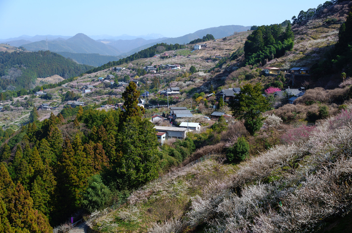 お写ん歩: 検索結果